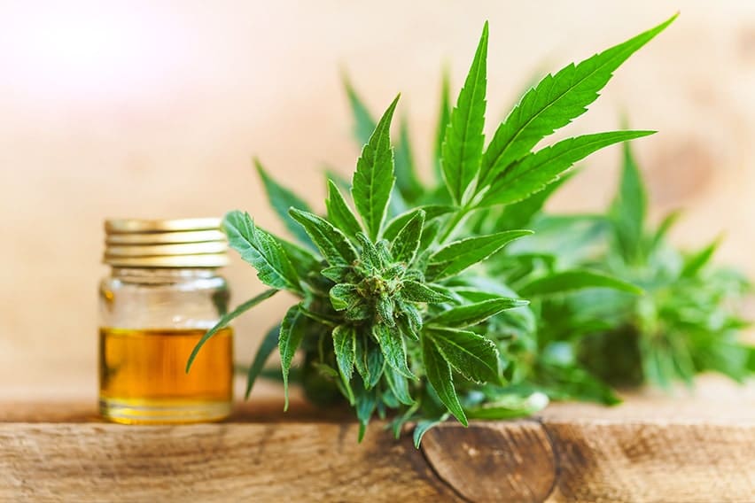 Can Cannabis Treat TMJ Pain?